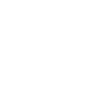 STOL Wheelz logo
